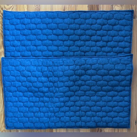 Crate and Barrel Fontaine Blue Pillowshams - Picture 2 of 6